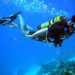 Permalink to: TAKING THE PLUNGE - A STANDARD FOR RECREATIONAL DIVING diver