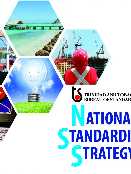 National Standardization Strategy (NSS) Stakeholder Consultations