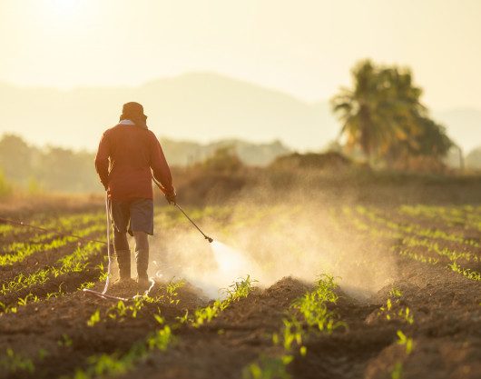 Stakeholder Focus Group For The Draft Regional Standard On Pesticides Labelling