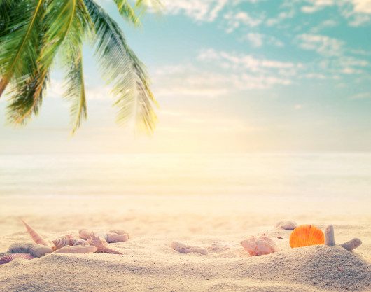 For Public Comment: PCTTS 649:20XX, Beach Operation – Requirements