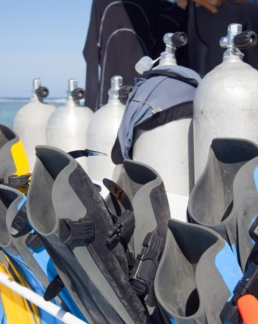 TTBS Remains Committed To Supporting The Diving Industry