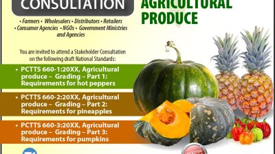 Produce Grading Stakeholder Consultation