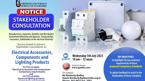 Virtual Stakeholder Consultation: Electrical Accessories, Components & Lighting Products