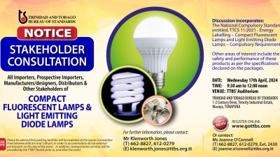 Stakeholder Consultation: Compact Fluorescent Lamps & Light Emitting Diode Lamps
