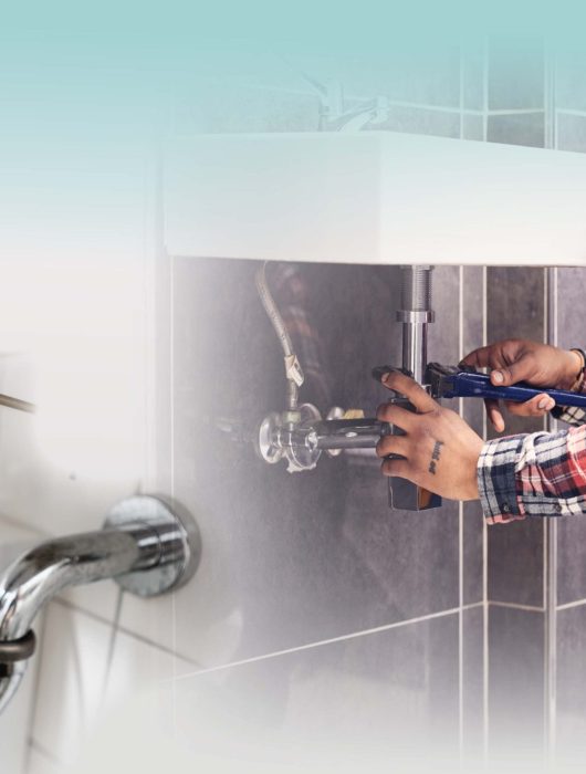 Virtual Stakeholder Forum: Draft Trinidad & Tobago Plumbing Code